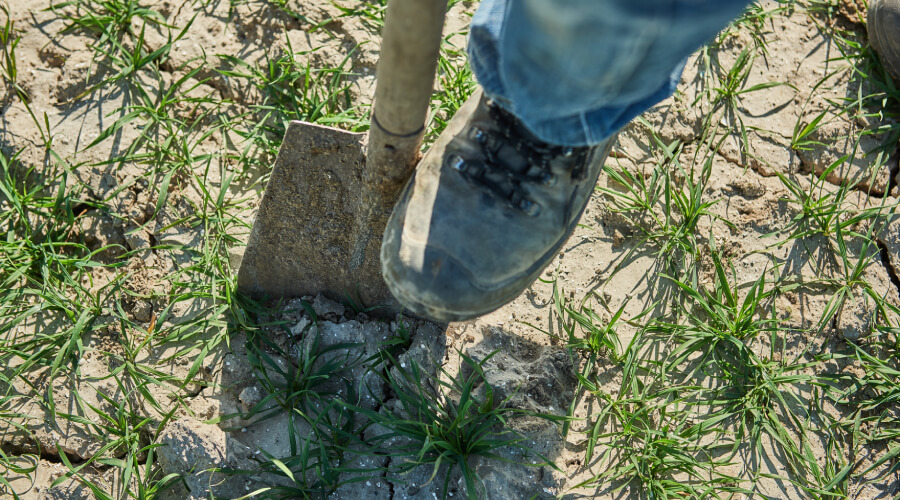 Afspoelingsbeperking bij ruggenteelten | Countus