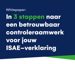 Whitepaper IT Audit